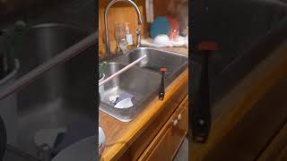 Cooking jasmine rice best method tinyhouse food rice salmon good yummy rigged [upl. by Katt]