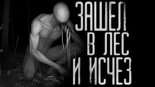 ЗАШЕЛ В ЛЕС И ИСЧЕЗ Страшные истории на ночь Страшилки на ночь [upl. by Eleda975]