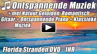 ONTSPANNENDE MUZIEK Natuur Geluiden Romantische Gitaar Ontspannen Piano Klassieke Instrumentale Urr [upl. by Idet838]