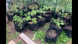 How To Get THE BEST Grow Bag Soil For Your Garden [upl. by Tsirhc]