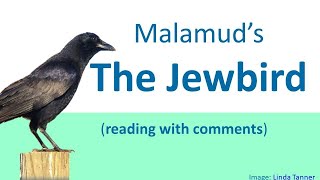 The Jewbird by Bernard Malamud reading gloss comments [upl. by Patricio]