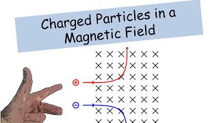 Particles in a Magnetic Field  IGCSE Physics [upl. by Selinda]