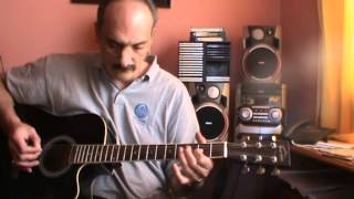 francis cabrel la dame de hautesavoie guitare acoustique [upl. by Carlina]