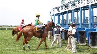 Belmont Stakes Every Race Starts at the Gate [upl. by Ramahs570]