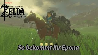 So bekommt Ihr Epona Zelda Breath of the Wild DominoDuo Deutsch [upl. by Schoenburg596]