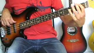 Phil Collins  Another Day In Paradise  Bass Cover [upl. by Alfred524]