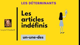 Les articles indéfinis en français Niveau A1 de FLE [upl. by Nylkoorb]