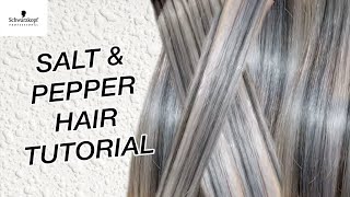 How to Get Salt amp Pepper Hair with IGORA ROYAL [upl. by Lubbock972]