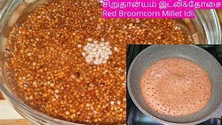 சிறுதான்யம் சிவப்பு சோளம் இட்லி Sigappu Cholam Idli ampDosaRed Broomcorn Millet Idli Recipes [upl. by Lani141]