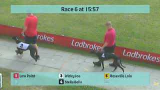 Crayford Greyhounds Races on 13th July 2024 [upl. by Nofpets589]