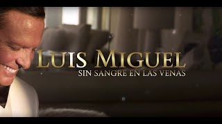 Luis Miguel  Sin Sangre En Las Venas Lyric Video [upl. by Towroy490]