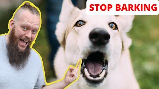 How to Train Your Dog to STOP BARKING at EVERYTHING [upl. by Harl]