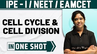 CELL CYCLE amp CELL DIVISION  One Shot  Botany  Class 11  NEET  EAMCET [upl. by Kafka]