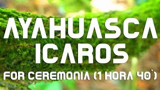 AYAHUASCA  ICAROS for Ceremony 1hr 40 Duration [upl. by Maisey]