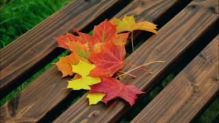 Leaves from Australian forests by Henry Kendall audiobook [upl. by Airyk297]