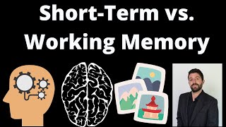 The difference between ShortTerm Memory and WorkingMemory [upl. by Nodab]