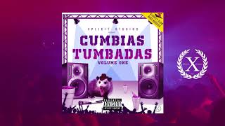 Cumbias Tumbadas Vol1 30min Wepa Mix [upl. by Elletnuahc778]