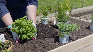 Planting an Herb Garden [upl. by Leopoldeen26]