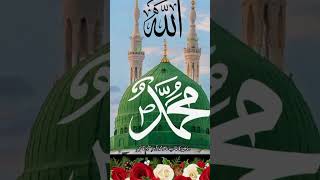 lam yalid walam yo lad youtubeshorts islamicmusic newnaatsharif beautiful trending 🥰🤲🥰🤲🥰🤲🥰🤲🤲 [upl. by Suoiradal]