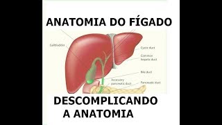 ANATOMIA DO FÍGADO [upl. by Ma]