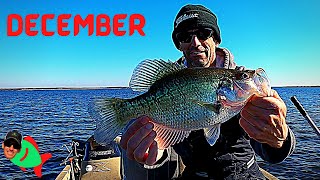 DECEMBER CRAPPIE FISHING  How to catch 2 lb crappie [upl. by Greer]