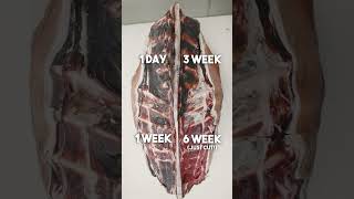 Watch now on YT We DryAged Deer for 6 WEEKS Does it Make a Difference 🦌🔥🔪 shorts [upl. by Casper136]