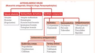 AntiCholinergic Drugs Atropine Scopolamine Atropine Derivatives Atropine substitutes [upl. by Attevaj63]