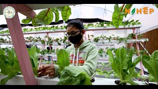 Pantnagar Hydroponic and Aeroponic Unit [upl. by Nedac580]