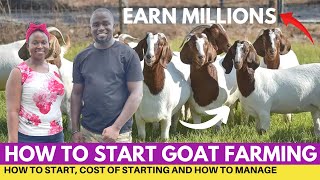 How To START GOAT FARMING Business And EARN Millions [upl. by Helbonna]