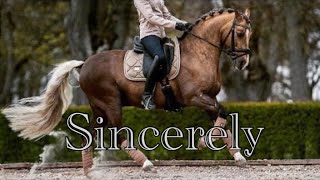 Sincerely  Dressage Music Video [upl. by Adlesirk]