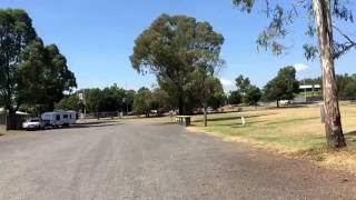 Muswellbrook Showground  Muswellbrook NSW [upl. by Kciderf]