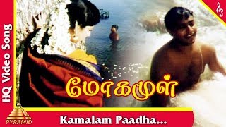 Kamalam Paadha Video Song Moga Mul Tamil Movie Songs  Abishek  Archana Pyramid Music [upl. by Cuthbertson]