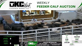 11292023  OKC West Feeder Calf Auction [upl. by Ahsinotna867]