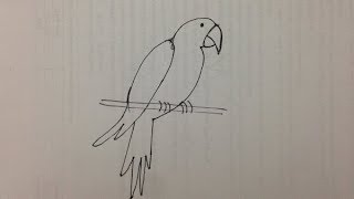 How to draw a Parrot for kids  Draw Parrot Step by Step [upl. by Hgielsel]