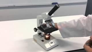 How to use a microscope with prepared slides [upl. by Lynne]