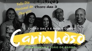 Carinhoso  Pixinguinha amp João de Barro  Dia Nacional Do Choro [upl. by Kacie]