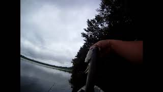 McDougal Lake Fishing 1 [upl. by Nosnarb293]