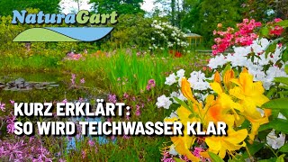 Ihr Weg zu klarem Wasser im Gartenteich [upl. by Atsiuqal]