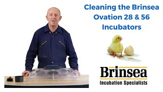 Cleaning the Brinsea Ovation 28 amp 56 Egg Incubators [upl. by Fanchet]