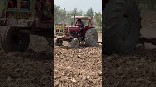 tractor villagevideo farming youtubeshorts pindanwale fullvideo subscribemychannel [upl. by Aileme590]