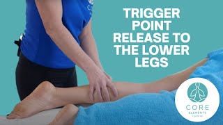 Trigger Point Release to the lower leg  Advanced Massage Techniques [upl. by Franciska]