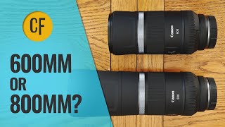 Canon RF 600 f11 vs 800mm f11 Which should you buy [upl. by Ahsait938]