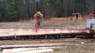 New Blade Less HeadachesOur Timbery M100 Sawmill Is Hard At Work [upl. by Mahtal]