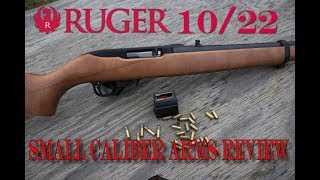 Ruger 1022 [upl. by Xilef]