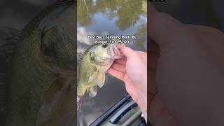 Best Bass SPINNING Reels By Budget 100200 [upl. by Seugram]