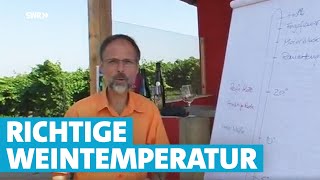 Werner erklärt Wein Die richtige Temperatur [upl. by Acinoreb966]