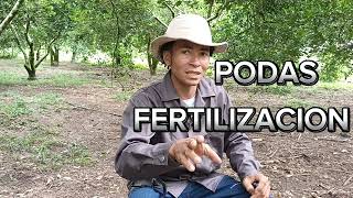 Fertilizacion Arboles Frutales [upl. by Goar]