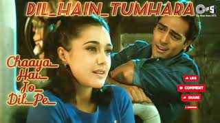 ChaayaHaiJoDilPe Full Song  Preity Zinta Arjun Rampal  Kavita K Shaan Dil Hai [upl. by Oiram]