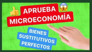 🏆APRUEBA MICROECONOMÍA Fácil✅✅ Funciones Utilidad Bienes Sustitutivos Perfectos [upl. by Sephira]