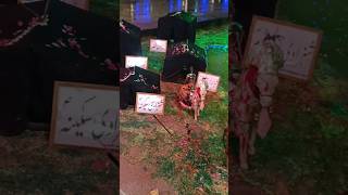 Maidan e Karbala se yeh khati thi fatima hussain viralvideos shortsfeed azadarehussain [upl. by Herrod]